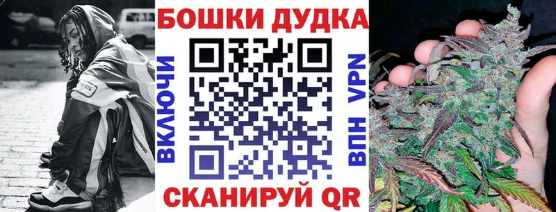 Бошки Шишки семена  купить наркоту  Лукоянов 